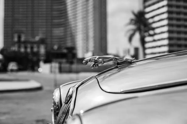 BetRegal Kazino Android/iOS Lietotne